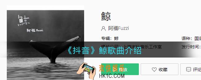 我游荡在蓝色海洋里像一幅孤独剪影以为能见到你是什么歌_鲸歌曲歌词试听地址