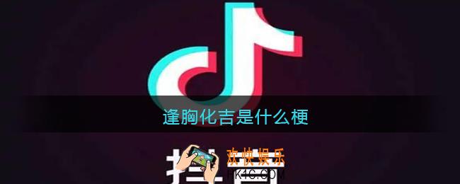 逢胸化吉是什么梗_逢胸化吉是什么意思含义出处