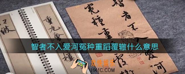 智者不入爱河冤种重蹈覆辙是什么梗_智者不入爱河冤种重蹈覆辙是什么意思含义出处