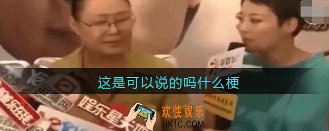 这是可以说的吗是什么梗_这是可以说的吗是什么意思含义出处