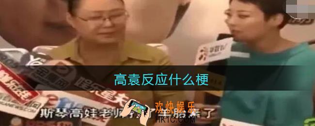 高袁反应是什么梗_高袁反应是什么意思含义出处