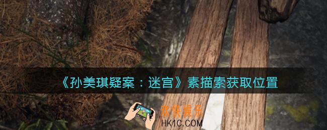 孙美琪疑案迷宫攻略素描在哪里_素描线索获取位置