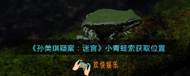 孙美琪疑案迷宫攻略小青蛙在哪里_小青蛙线索获取位置