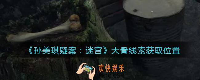 孙美琪疑案迷宫攻略大骨在哪里_大骨线索获取位置