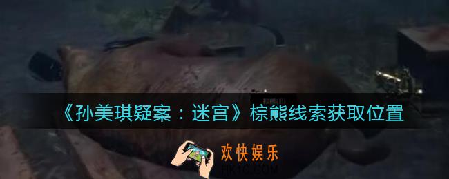 孙美琪疑案迷宫攻略棕熊在哪里_棕熊线索获取位置