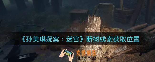 孙美琪疑案迷宫攻略断树在哪里_断树线索获取位置