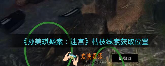 孙美琪疑案迷宫攻略枯枝在哪里_枯枝线索获取位置