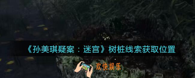 孙美琪疑案迷宫攻略树桩在哪里_树桩线索获取位置