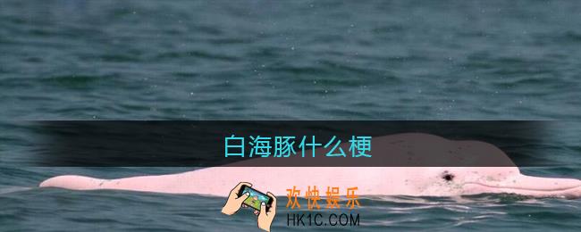 白海豚是什么梗_白海豚是什么意思含义出处