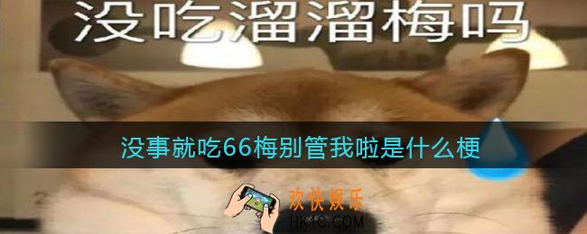 没事就吃66梅别管我啦是什么梗_抖音没事就吃66梅别管我啦是什么意思含义出处