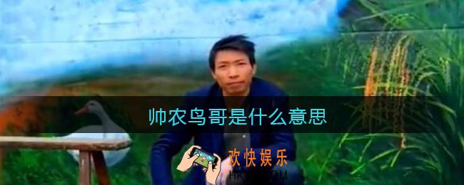 帅农鸟哥是什么意思_抖音帅农鸟哥是什么梗含义出处