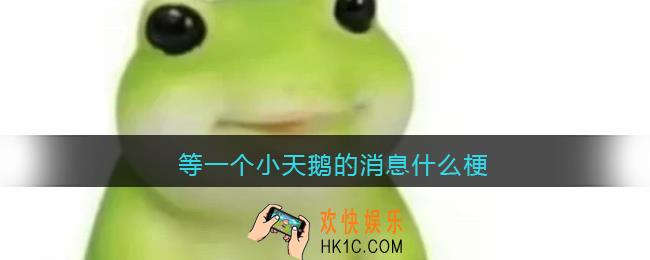 等一个小天鹅的消息什么梗/意思_抖音热梗含义出处