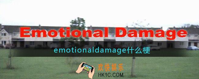 emotionaldamage什么梗_抖音emotionaldamage是什么意思含义