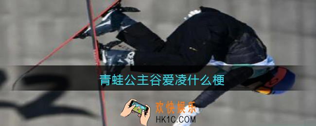 青蛙公主谷爱凌什么梗_抖音青蛙公主什么意思含义