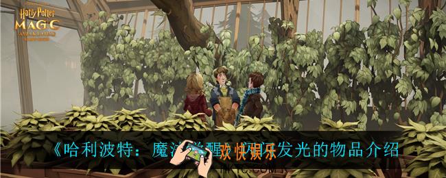 哈利波特魔法觉醒闪闪发光的物品是什么_闪闪发光的物品介绍