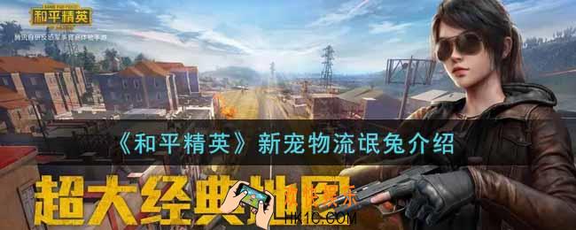和平精英新宠物流氓兔怎么样_新宠物流氓兔介绍