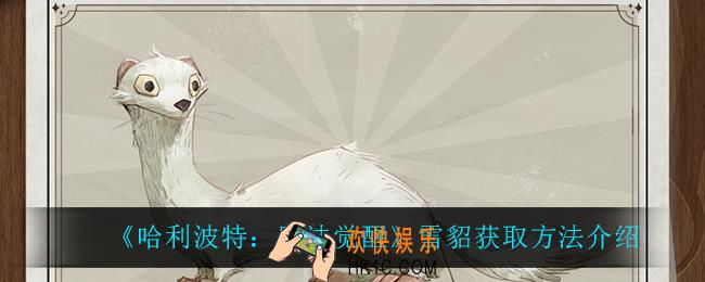 哈利波特魔法觉醒雪貂怎么获得_雪貂获取方法介绍