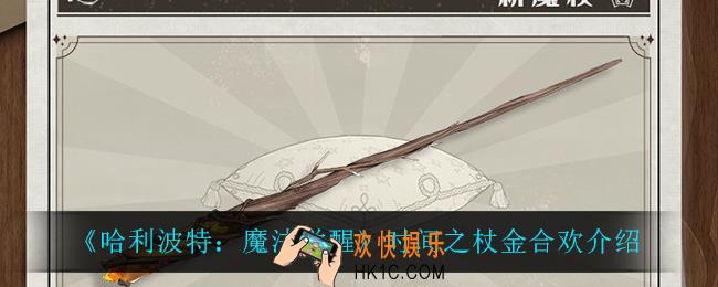 哈利波特魔法觉醒时间之杖金合欢怎么样_时间之杖金合欢介绍