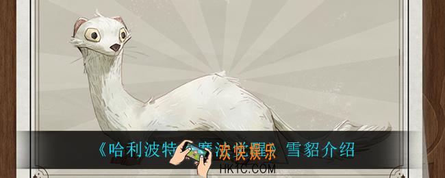 哈利波特魔法觉醒雪貂怎么样_雪貂介绍