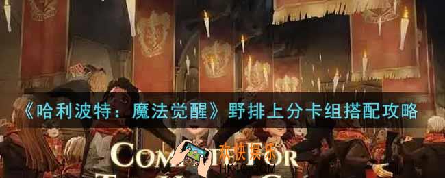 哈利波特魔法觉醒野排上分卡组怎么搭配_野排上分卡组搭配攻略