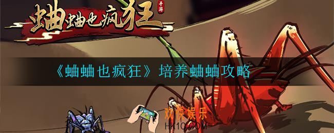 蛐蛐也疯狂怎么培养蛐蛐_培养蛐蛐攻略