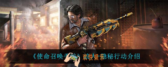 使命召唤手游浪人隐秘行动怎么样_浪人