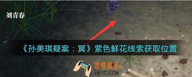 孙美琪疑案冥DLC攻略紫色鲜花在哪里_线索获取位置