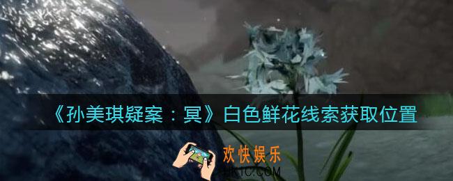 孙美琪疑案冥DLC攻略白色鲜花在哪里_线索获取位置