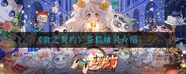 食之契约茶糕飨灵怎么样_茶糕飨灵介绍