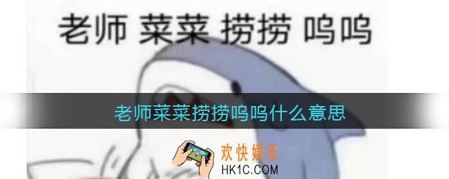 老师菜菜捞捞呜呜什么意思_热梗含义分享