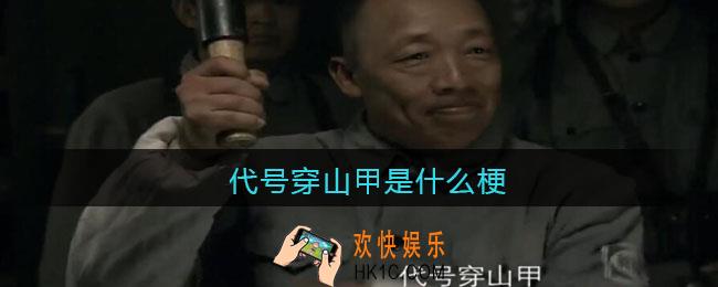代号穿山甲是什么梗/意思_代号穿山甲热梗含义出处