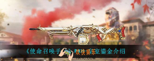 使命召唤手游PKM