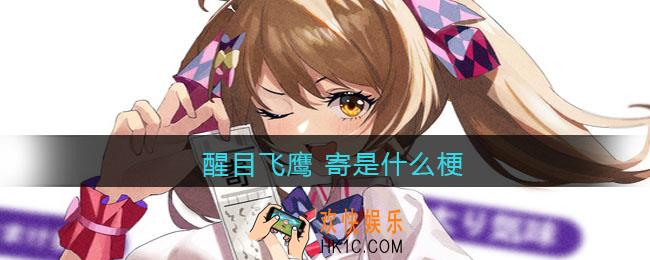 醒目飞鹰 寄是什么梗_醒目飞鹰 寄什么意思