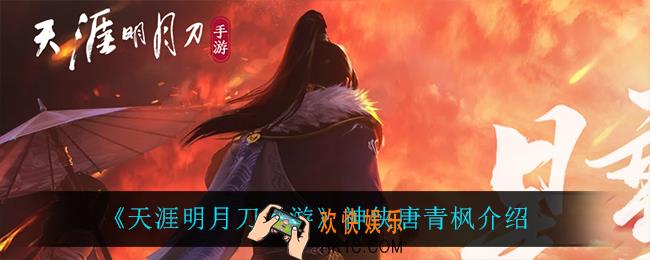 天涯明月刀手游唐青枫怎么样_神侠唐青枫介绍