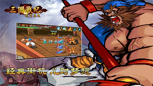 三国战纪：风云再起