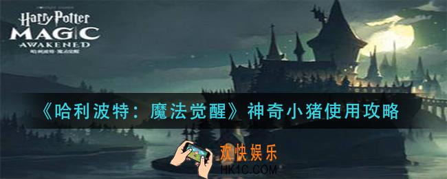 哈利波特魔法觉醒神奇小猪怎么用_神奇小猪使用攻略