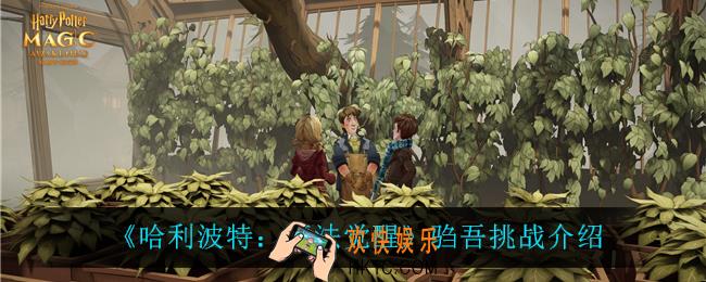哈利波特魔法觉醒驺吾挑战是什么_驺吾挑战介绍