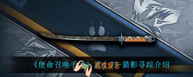 使命召唤手游武士刀
