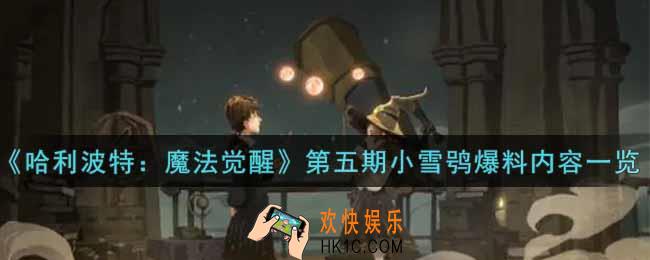 哈利波特魔法觉醒第五期小雪鸮内容是什么_第五期小雪鸮爆料内容一览