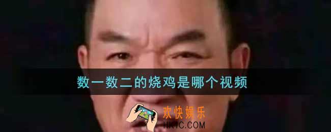 数一数二的烧鸡是哪个视频_数一数二的烧鸡原视频