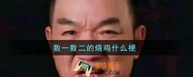 数一数二的烧鸡什么梗_数一数二的烧鸡是什么意思