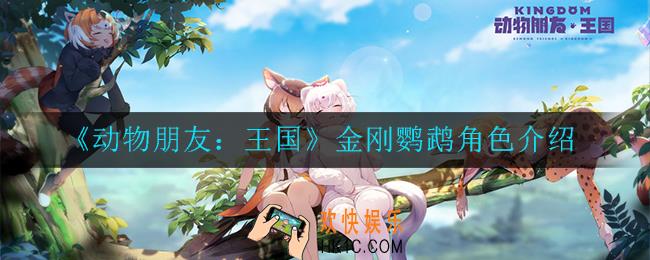 动物朋友：王国金刚鹦鹉怎么样_金刚鹦鹉角色介绍