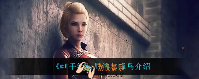 cf手游尼泊尔蜂鸟怎么样_尼泊尔蜂鸟介绍