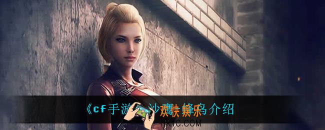 cf手游沙鹰蜂鸟怎么样_沙鹰
