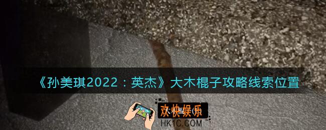 孙美琪疑案2022英杰大木棍子在哪里_大木棍子攻略线索位置