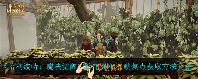 哈利波特魔法觉醒惊艳亮相沉默焦点怎么获得_惊艳亮相沉默焦点获取方法介绍