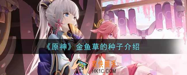 原神金鱼草的种子怎么样_金鱼草的种子介绍
