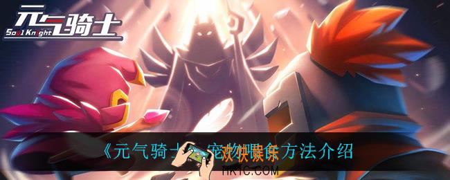 元气骑士怎么喂宠物_宠物喂食方法介绍