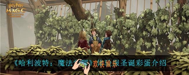 哈利波特魔法觉醒体验服圣诞彩蛋是什么_体验服圣诞彩蛋介绍