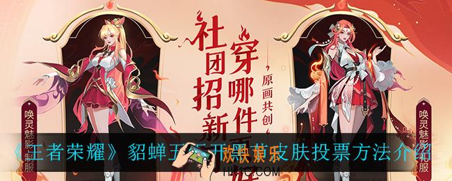 王者荣耀貂蝉五五开黑节皮肤在哪投票_貂蝉五五开黑节皮肤投票方法介绍